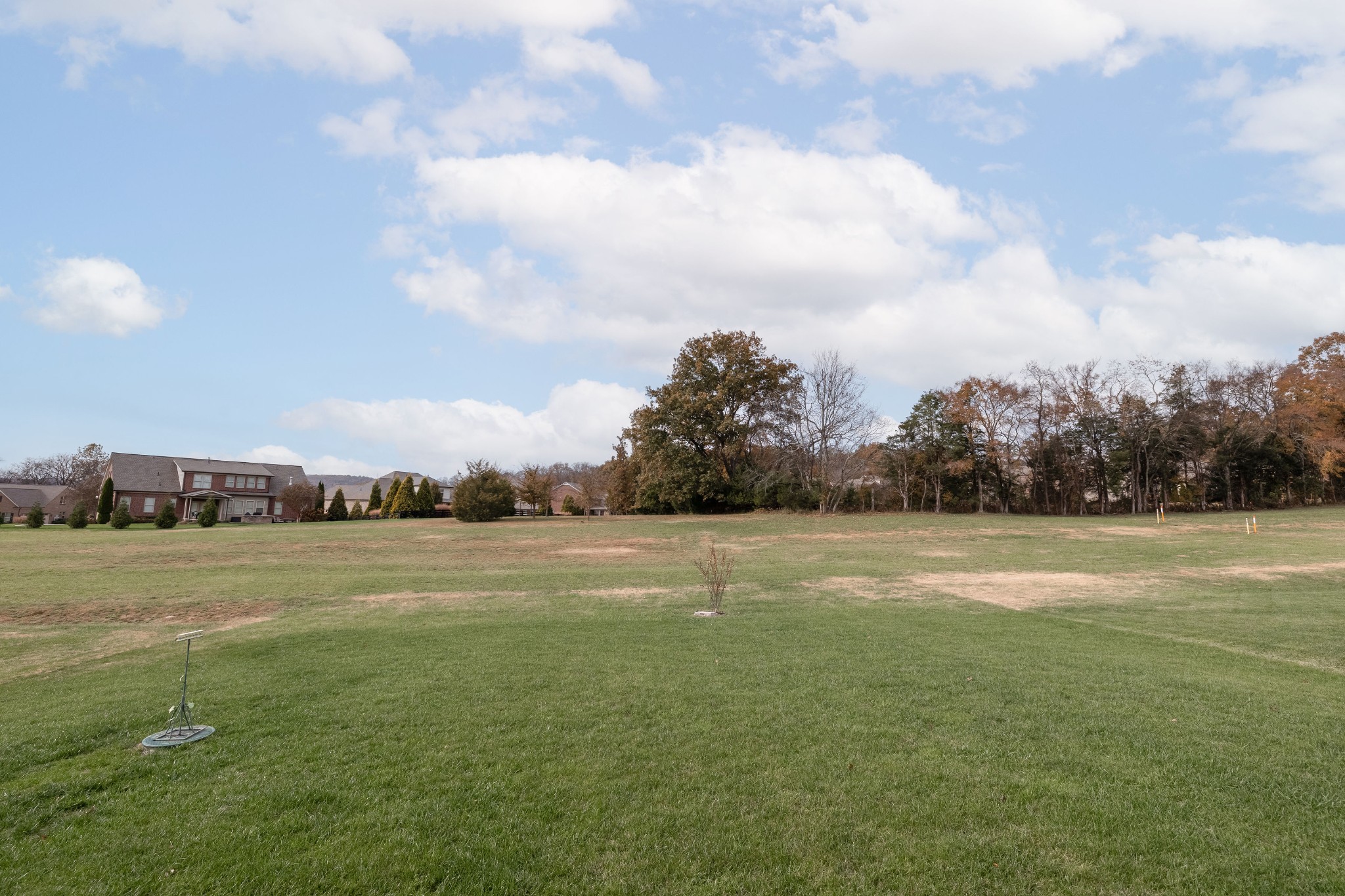 6745 Pleasant Gate Lane College Grove, TN 37046 - Photo 33 of 56