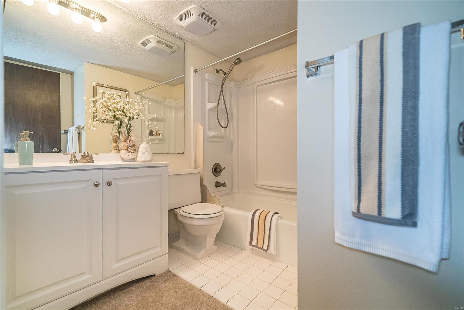 15556 Country Ridge Drive Chesterfield, MO 63017 - Photo 44 of 60