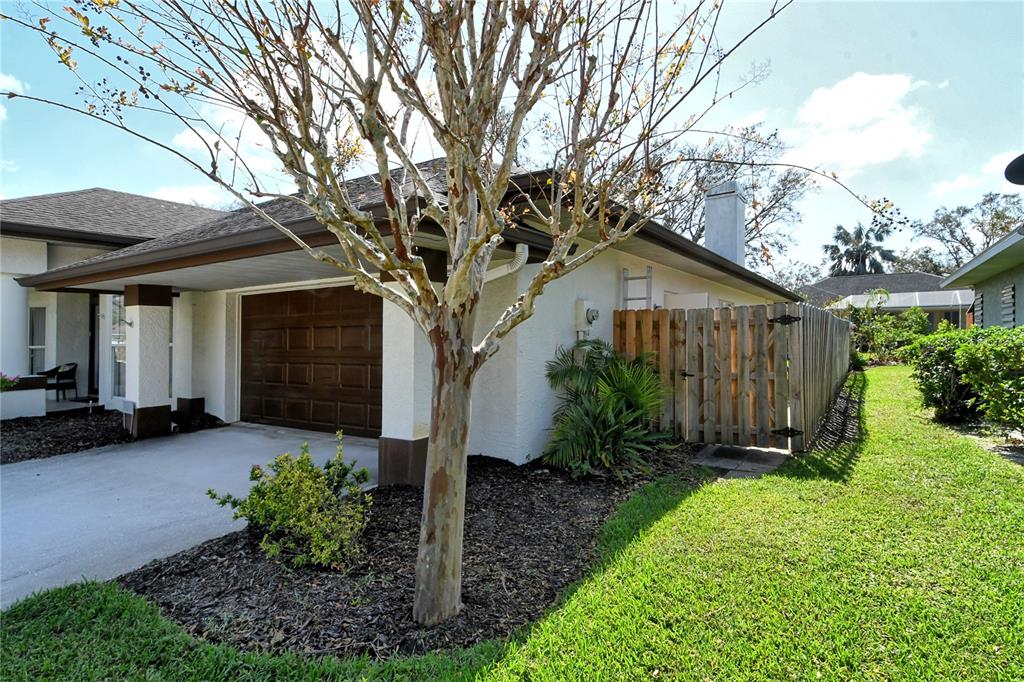 610 Pine Ranch East Road Osprey, FL 34229 - Photo 59 of 64 Side Yard