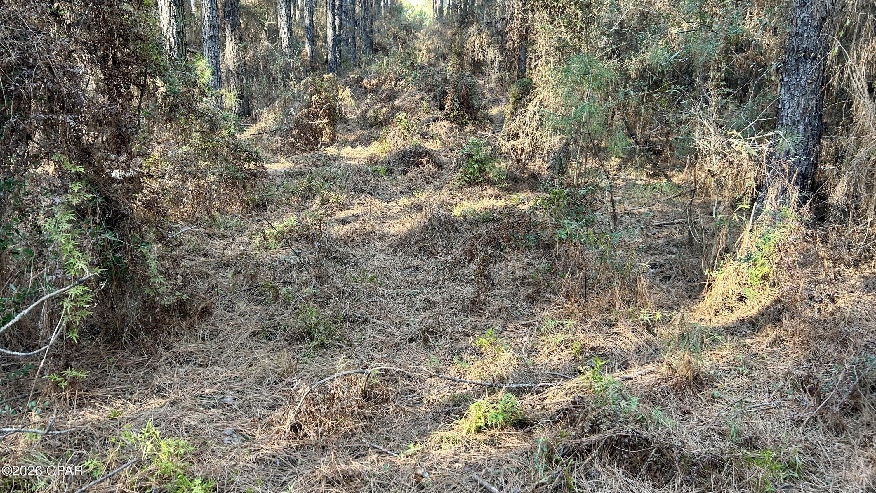 X Grimes Road Laurel Hill, FL 32567 - Photo 12 of 25