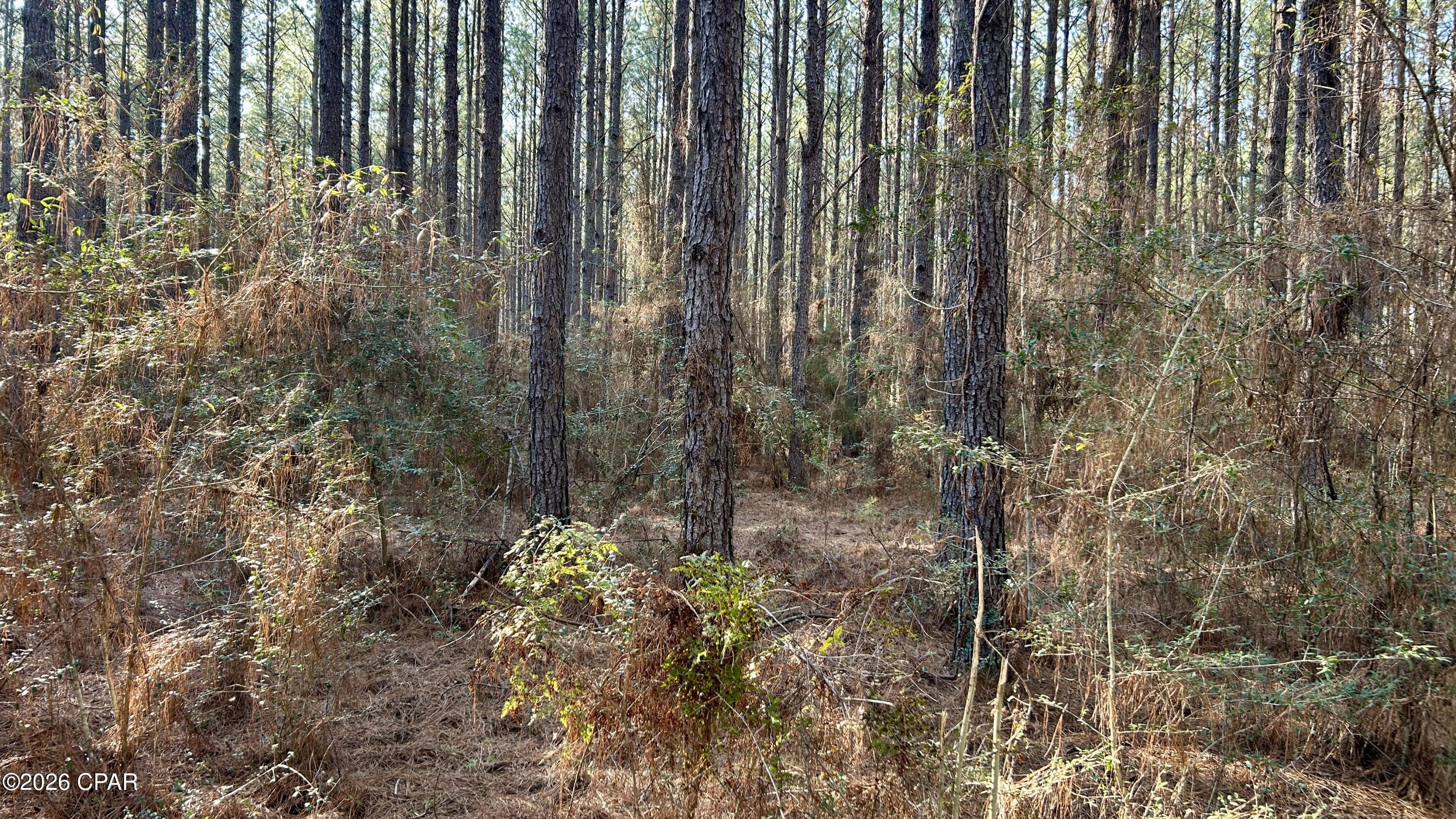 X Grimes Road Laurel Hill, FL 32567 - Photo 15 of 25
