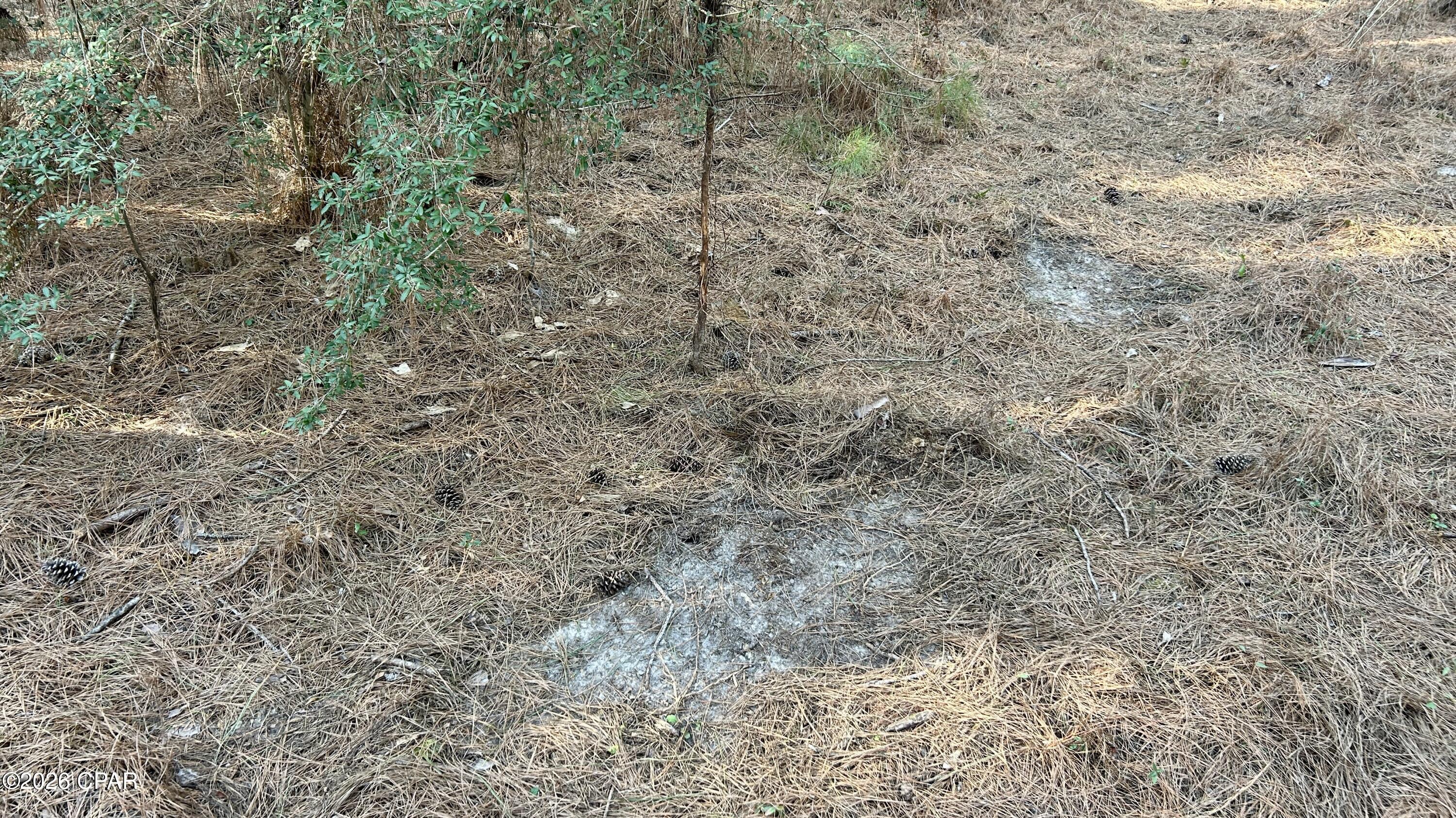 X Grimes Road Laurel Hill, FL 32567 - Photo 16 of 25