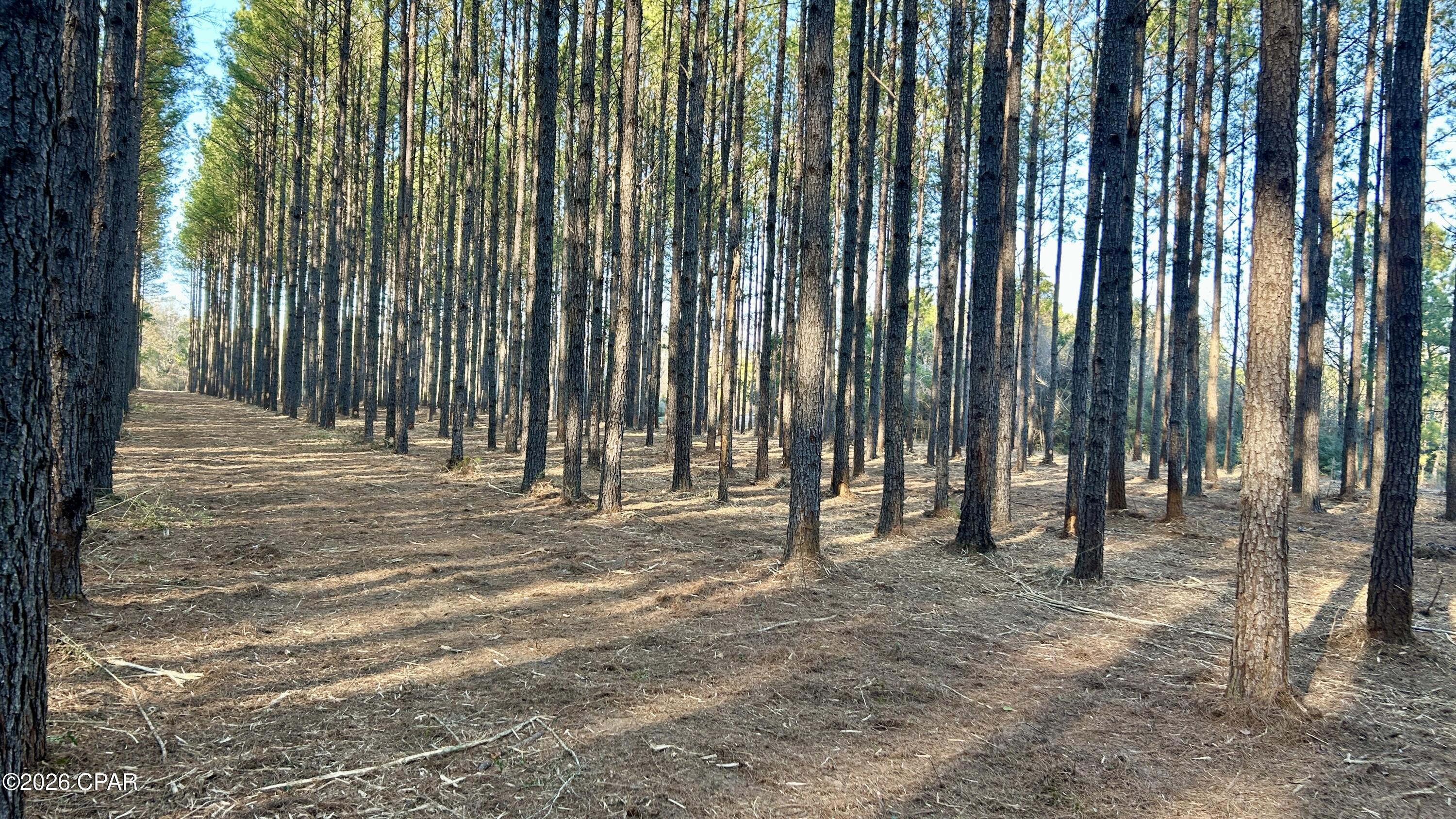 X Grimes Road Laurel Hill, FL 32567 - Photo 20 of 25