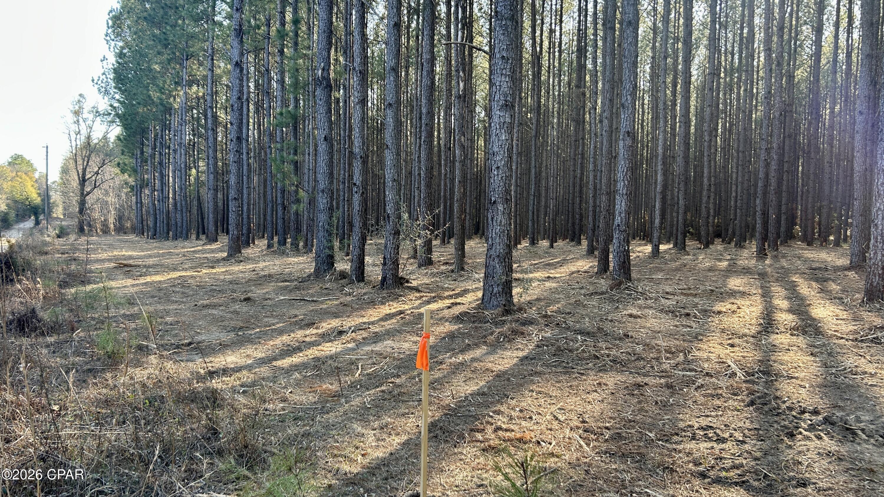 X Grimes Road Laurel Hill, FL 32567 - Photo 2 of 25