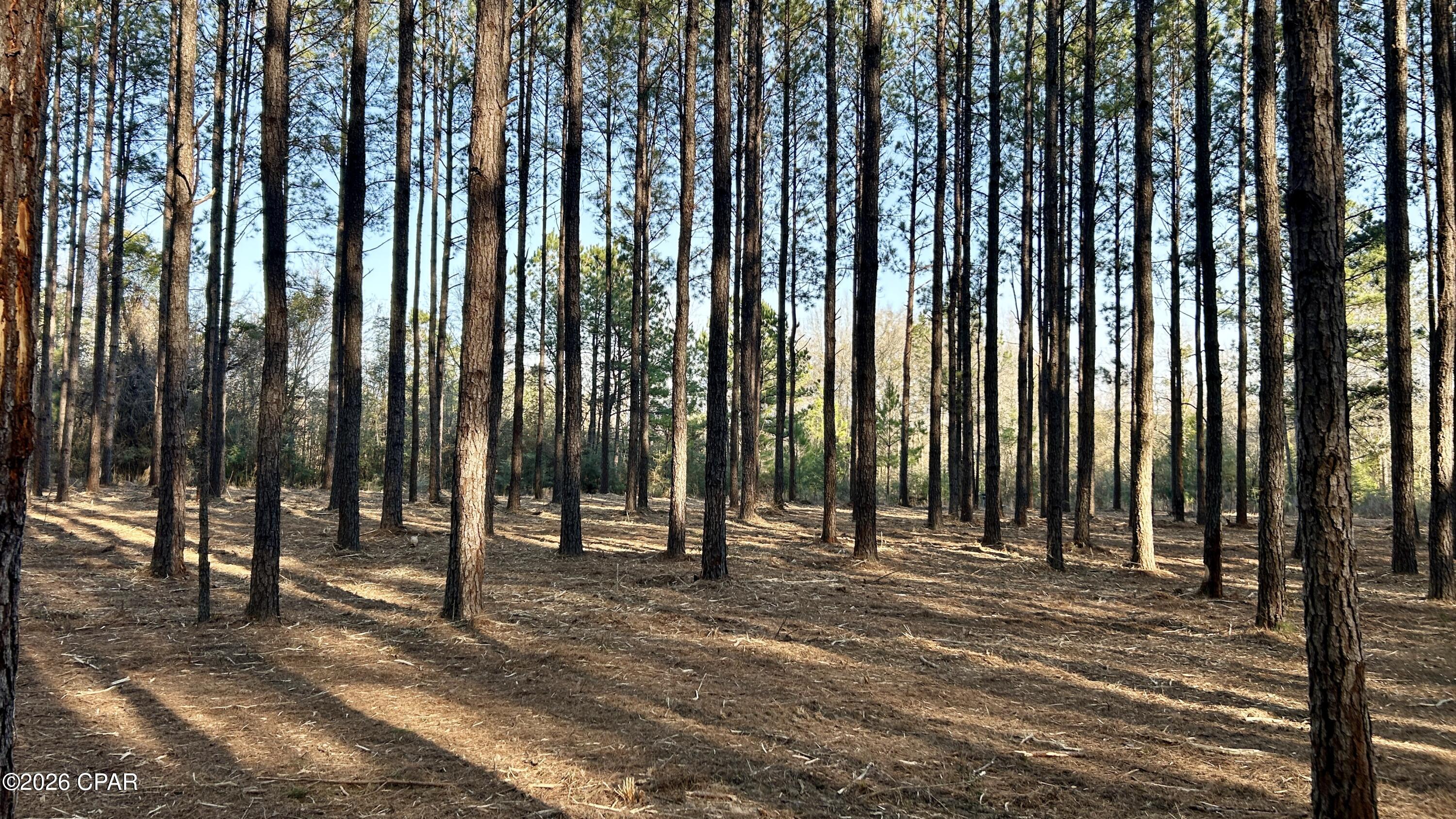 X Grimes Road Laurel Hill, FL 32567 - Photo 21 of 25