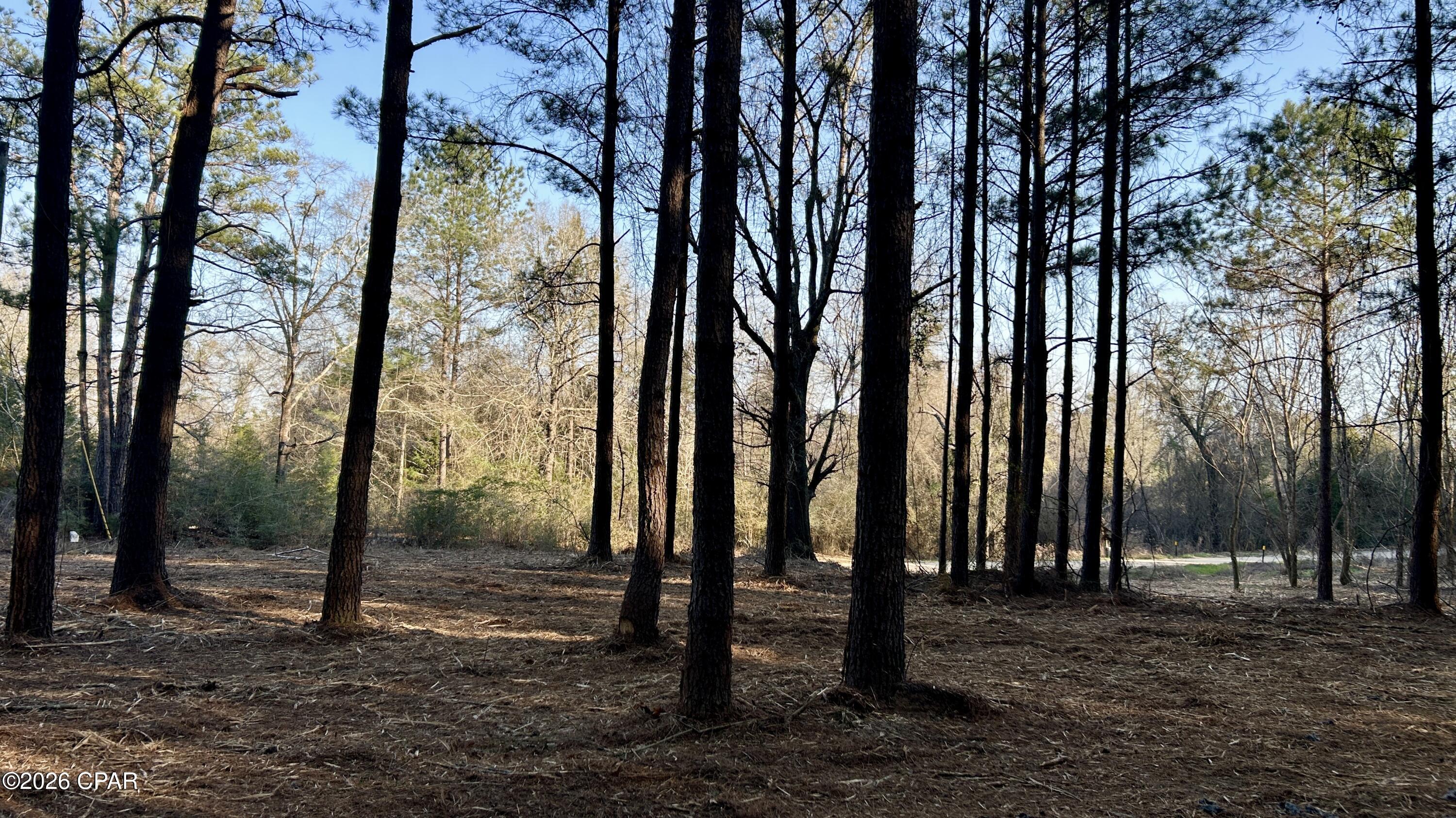 X Grimes Road Laurel Hill, FL 32567 - Photo 23 of 25