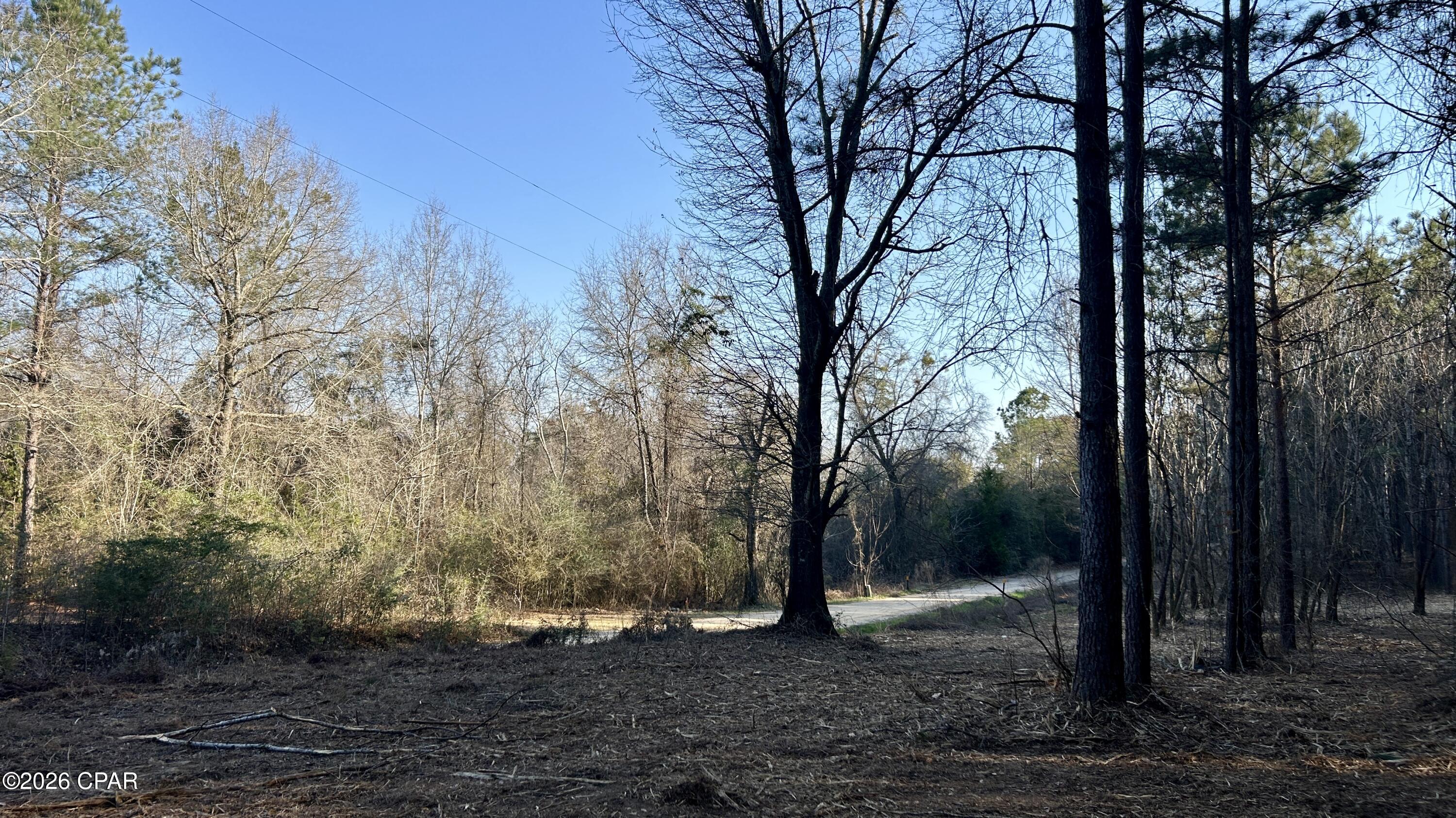 X Grimes Road Laurel Hill, FL 32567 - Photo 24 of 25