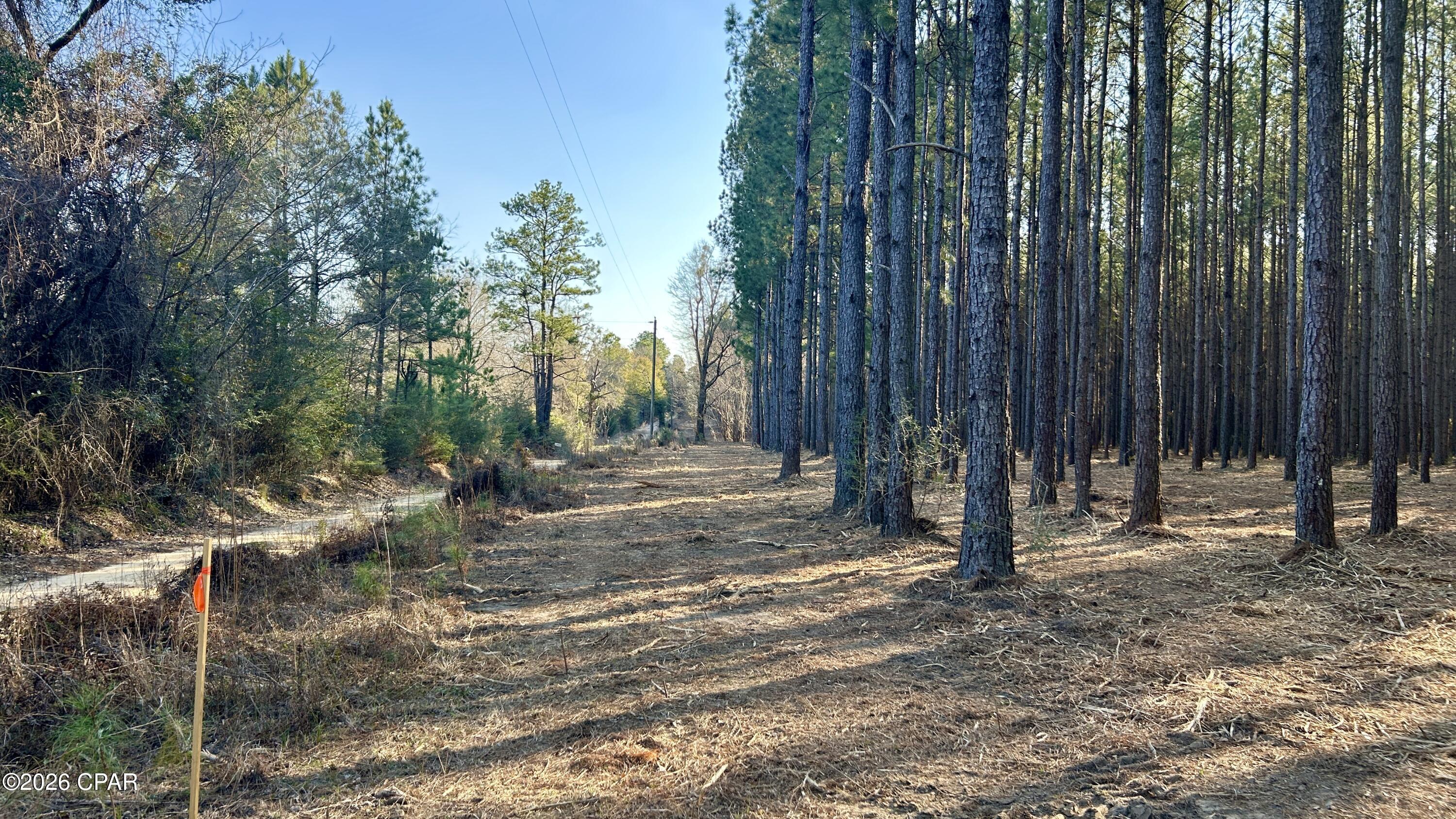 X Grimes Road Laurel Hill, FL 32567 - Photo 3 of 25