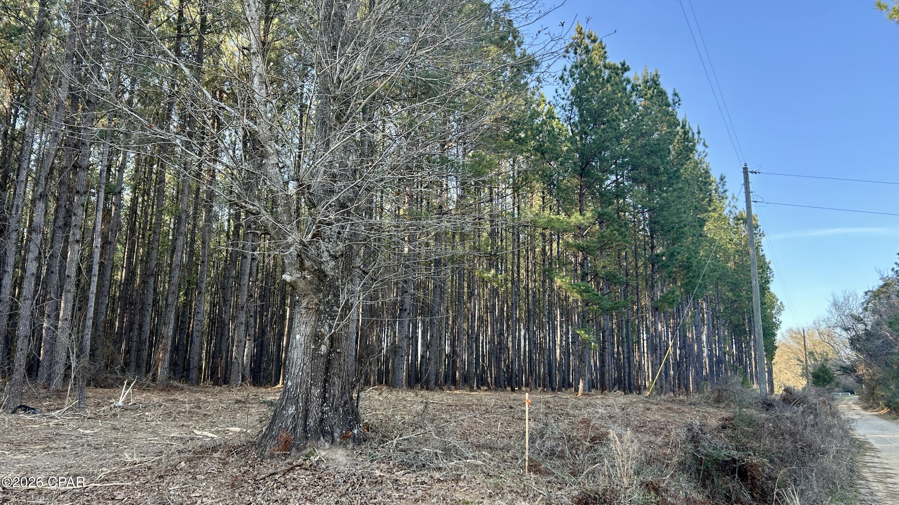 X Grimes Road Laurel Hill, FL 32567 - Photo 4 of 25