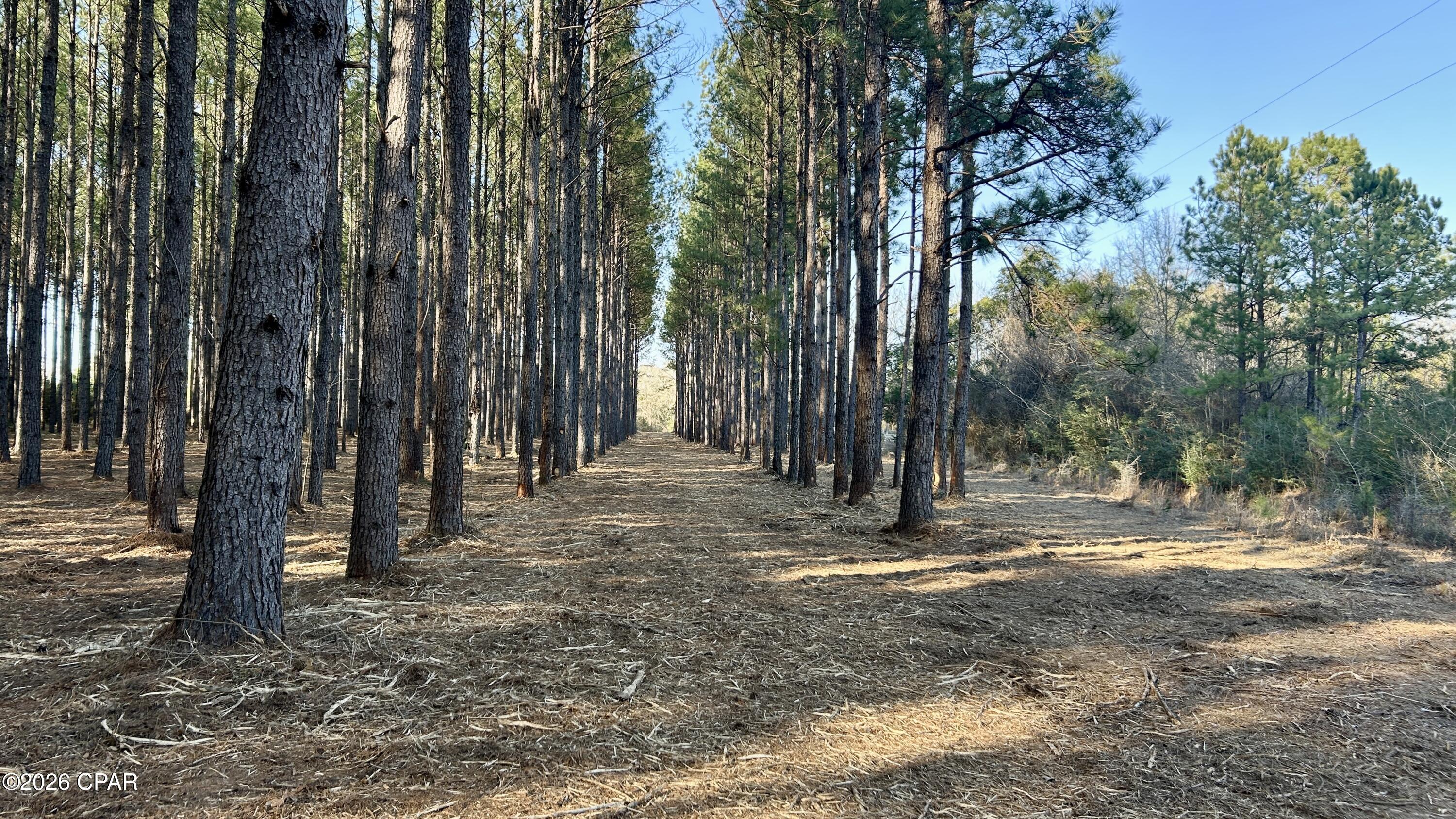 X Grimes Road Laurel Hill, FL 32567 - Photo 6 of 25