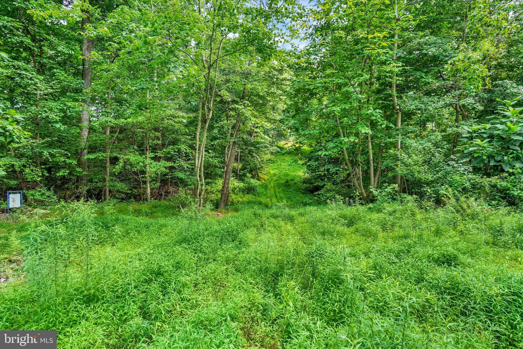 4192 Evergreen Road Felton, PA 17322 - Photo 39 of 46 Trail behind Home