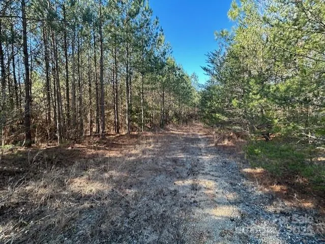 a view of a yard with lots of bushes