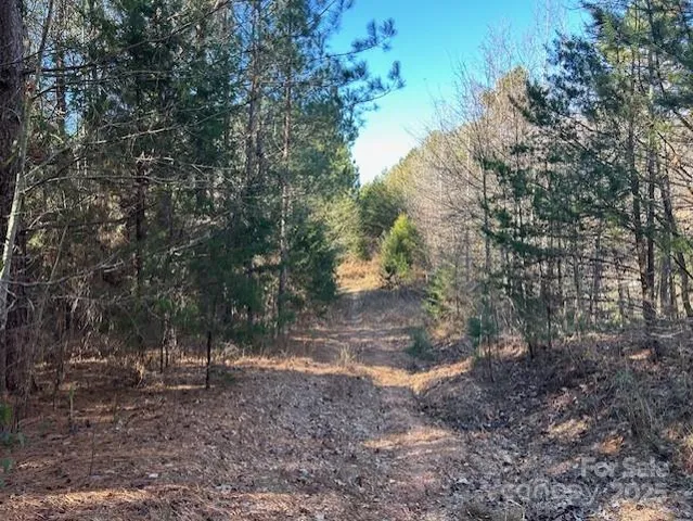 a view of outdoor space with lots of trees