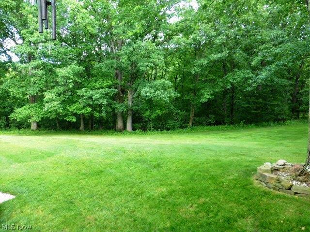 600-1 Falls Road Chagrin Falls, OH 44022 - Photo 18 of 21 Gallery Image 18