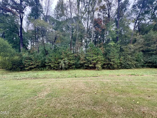 a view of a backyard with large trees