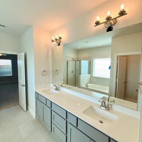 a bathroom with a double vanity sink a mirror and a shower