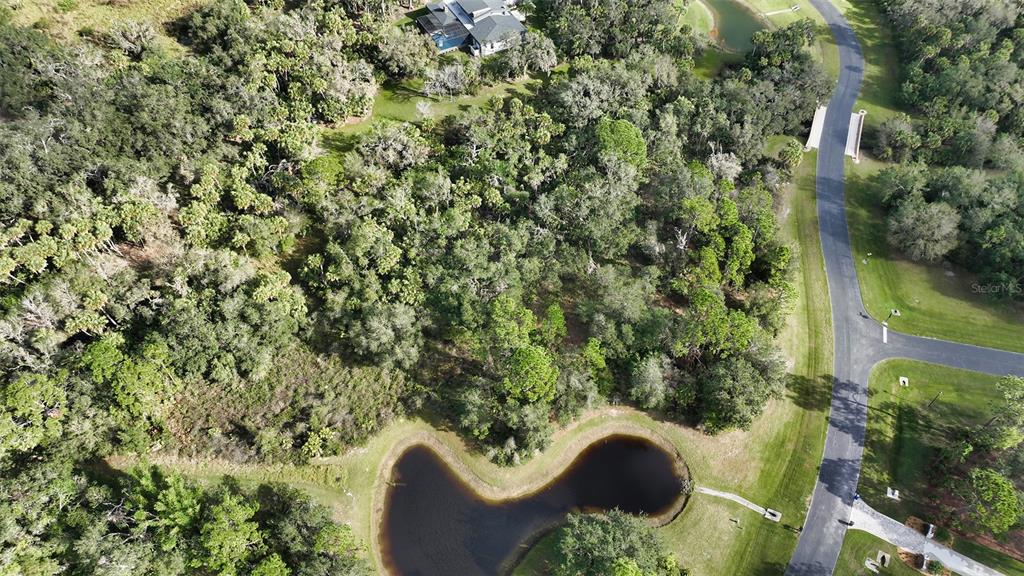 9255 Swaying Branch Road Sarasota, FL 34241 - Photo 10 of 23