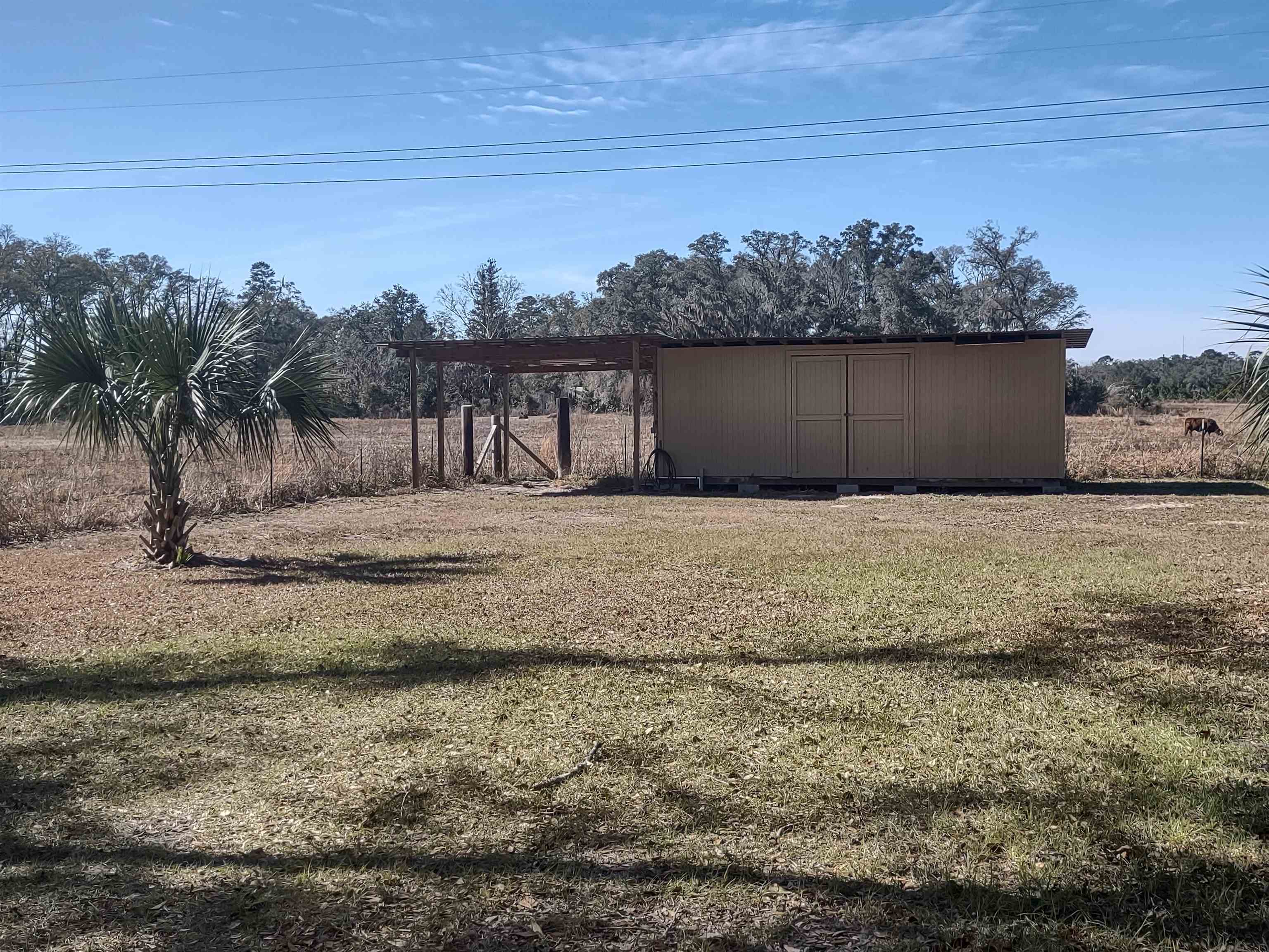 559 Ellison Road Perry, FL 32347 - Photo 11 of 18