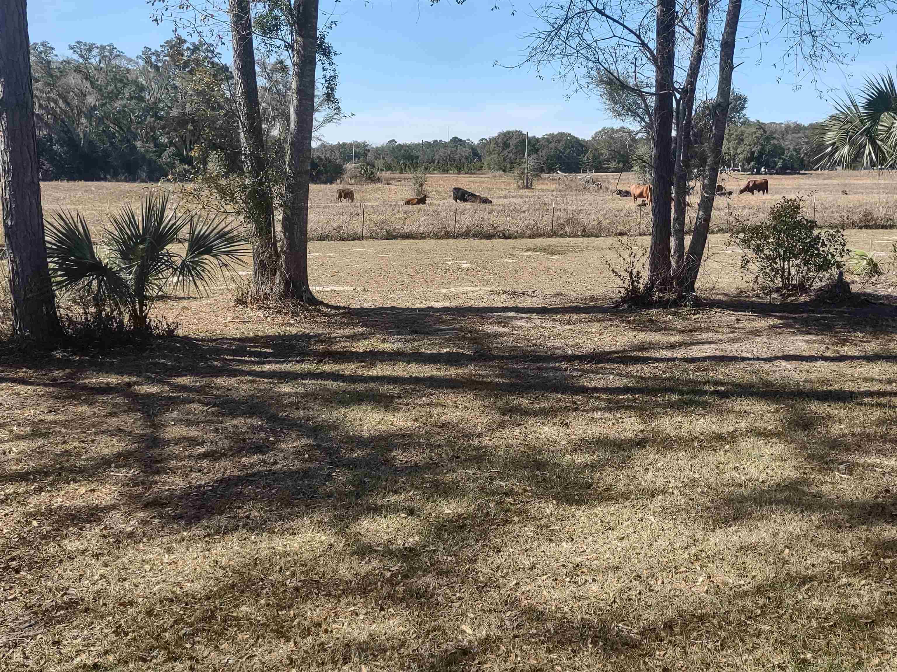 559 Ellison Road Perry, FL 32347 - Photo 12 of 18