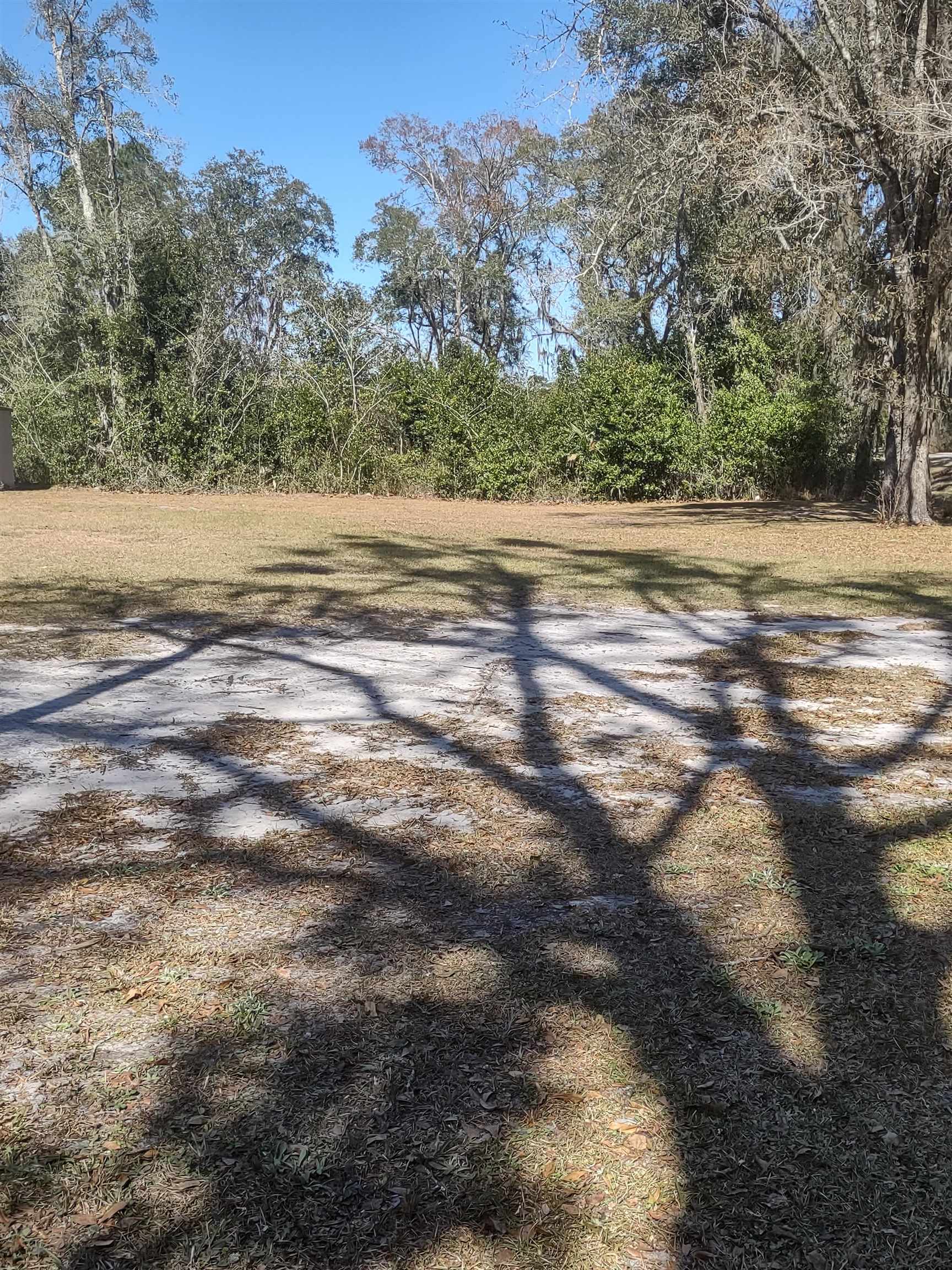 559 Ellison Road Perry, FL 32347 - Photo 8 of 18