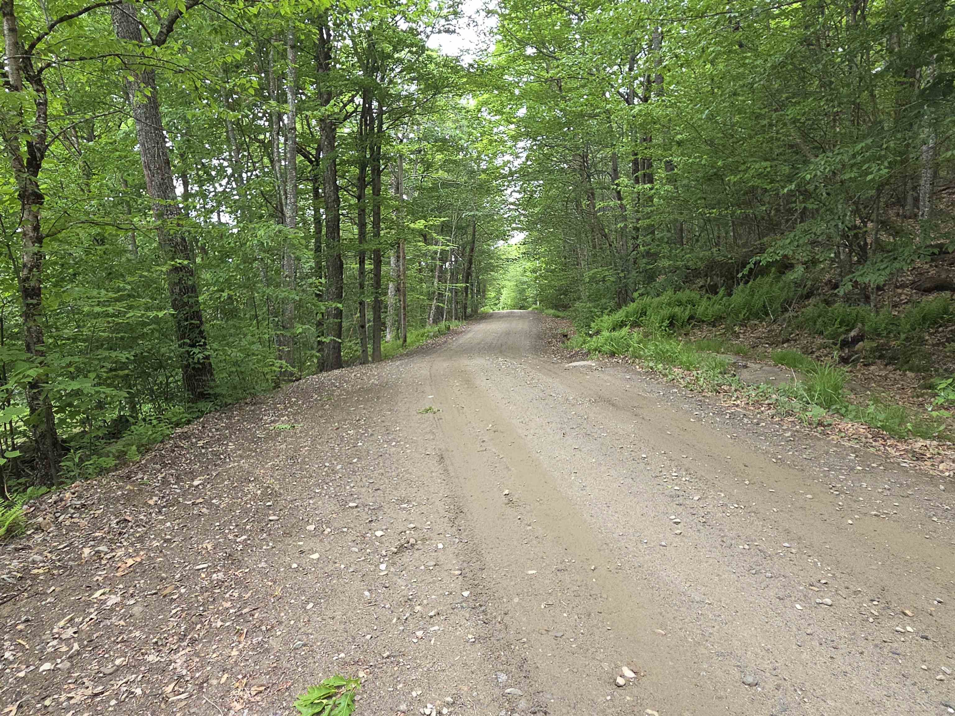 1046 Kings Highway Stoddard, NH 03464 - Photo 23 of 33