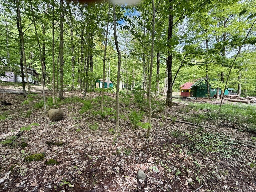 25 Little America Road Richland, NY 13144 - Photo 2 of 10