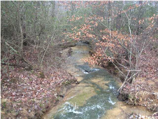 7 Private Road Tracy City, TN 37387 - Photo 1 of 21 Primary Photo