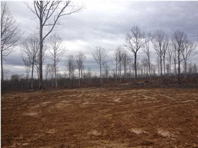 7 Private Road Tracy City, TN 37387 - Photo 11 of 21 Additional Photo