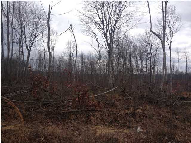 7 Private Road Tracy City, TN 37387 - Photo 20 of 21 Additional Photo