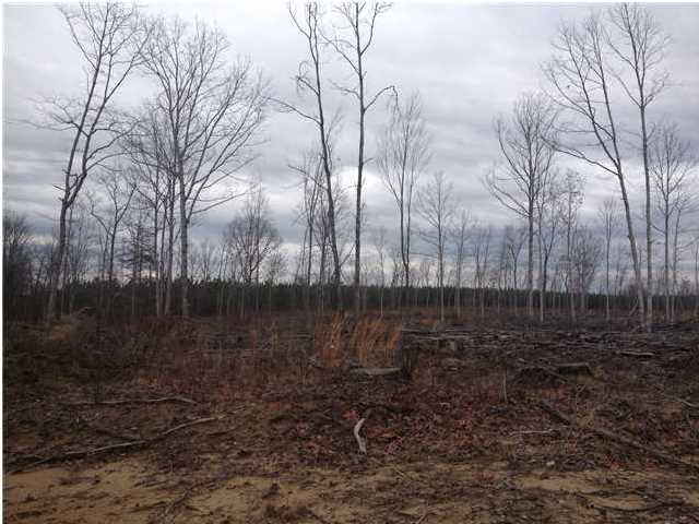 7 Private Road Tracy City, TN 37387 - Photo 2 of 21 Additional Photo