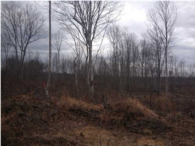 7 Private Road Tracy City, TN 37387 - Photo 21 of 21 Additional Photo