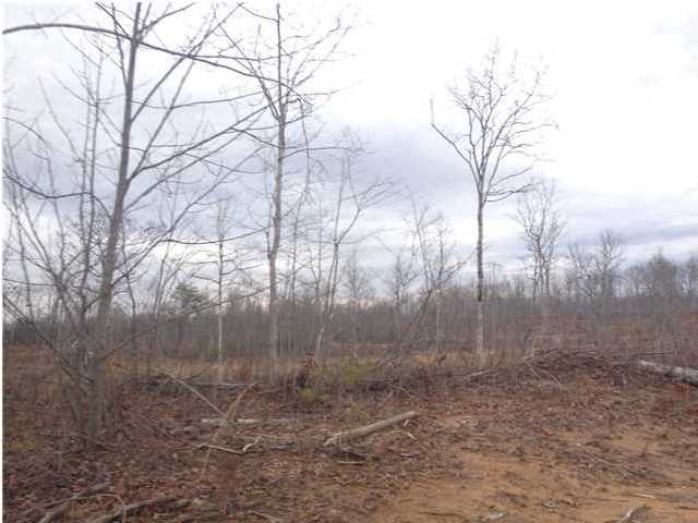 7 Private Road Tracy City, TN 37387 - Photo 3 of 21 Additional Photo