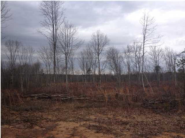 7 Private Road Tracy City, TN 37387 - Photo 4 of 21 Additional Photo