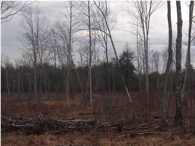 7 Private Road Tracy City, TN 37387 - Photo 5 of 21 Additional Photo