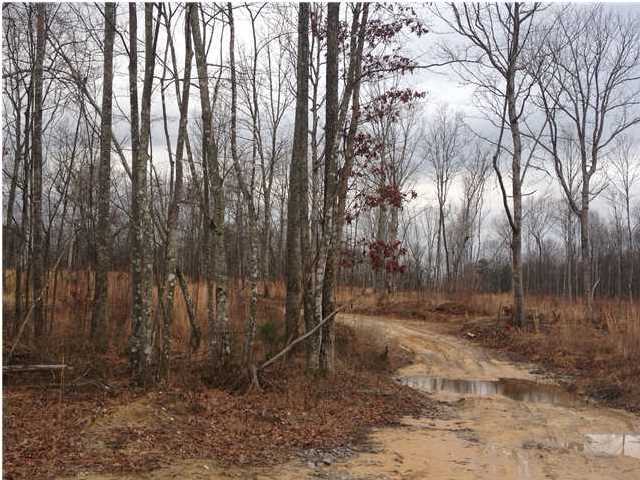 7 Private Road Tracy City, TN 37387 - Photo 8 of 21 Additional Photo