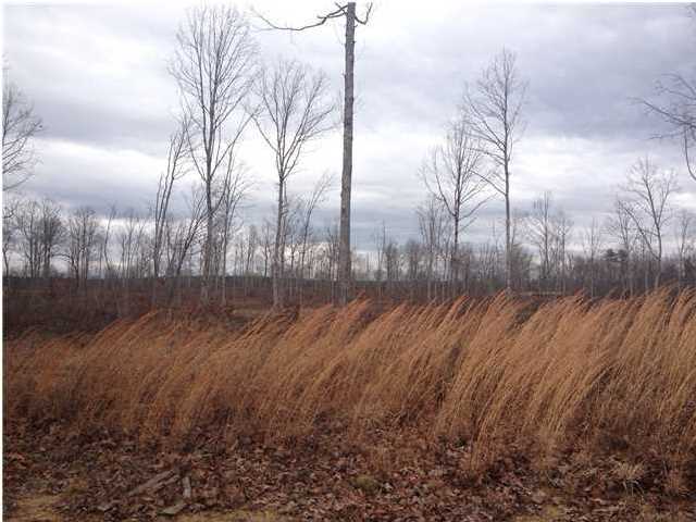 7 Private Road Tracy City, TN 37387 - Photo 9 of 21 Additional Photo