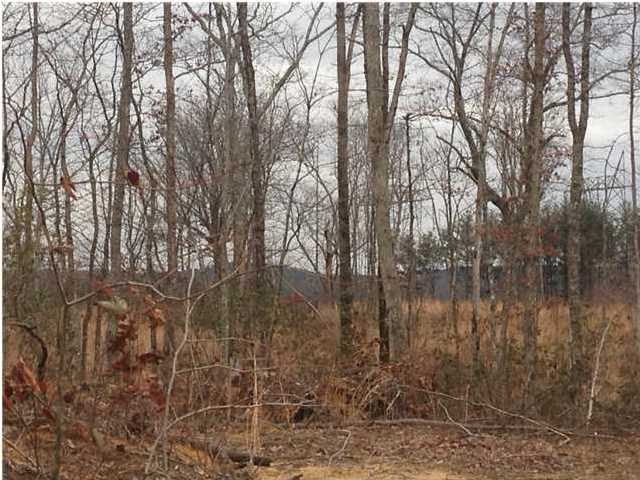 7 Private Road Tracy City, TN 37387 - Photo 10 of 21 Additional Photo