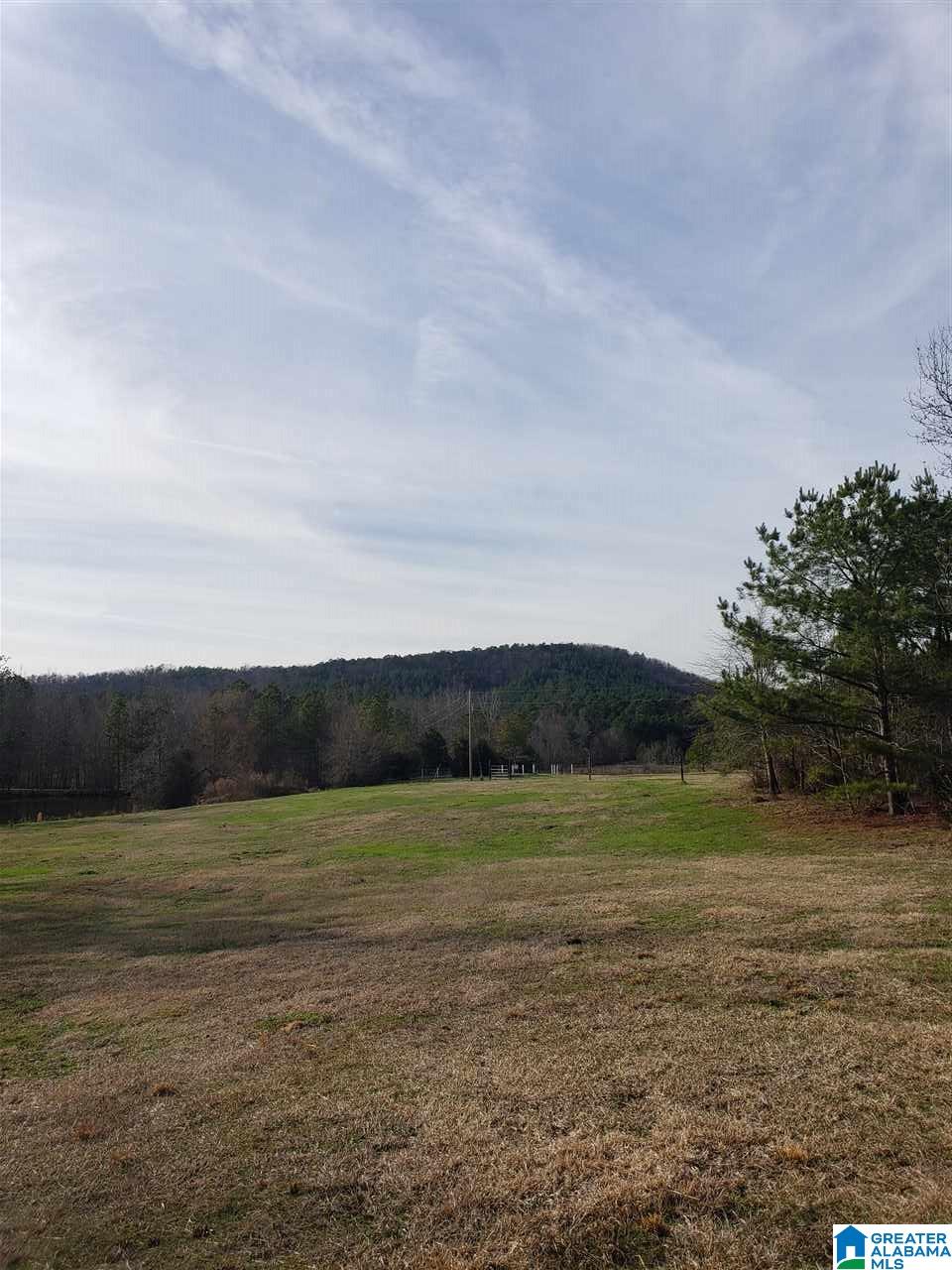 1430 Dripping Rock Road Piedmont, AL 36272 - Photo 25 of 41