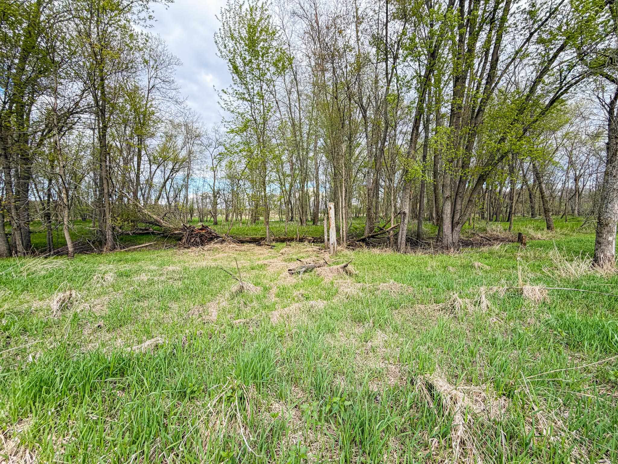 100.54-acres Katuin Road La Valle, WI 53941 - Photo 32 of 88