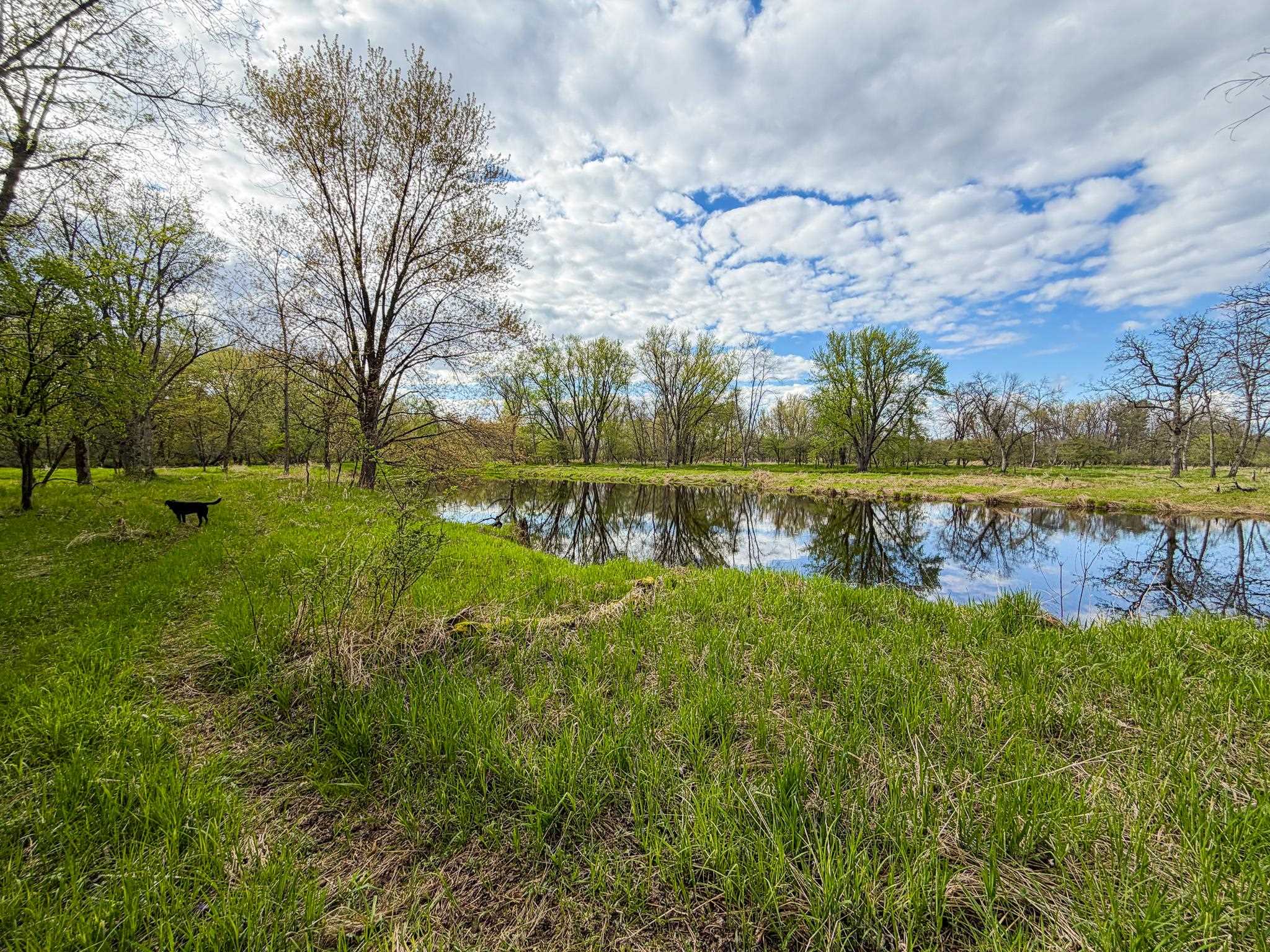 100.54-acres Katuin Road La Valle, WI 53941 - Photo 5 of 88