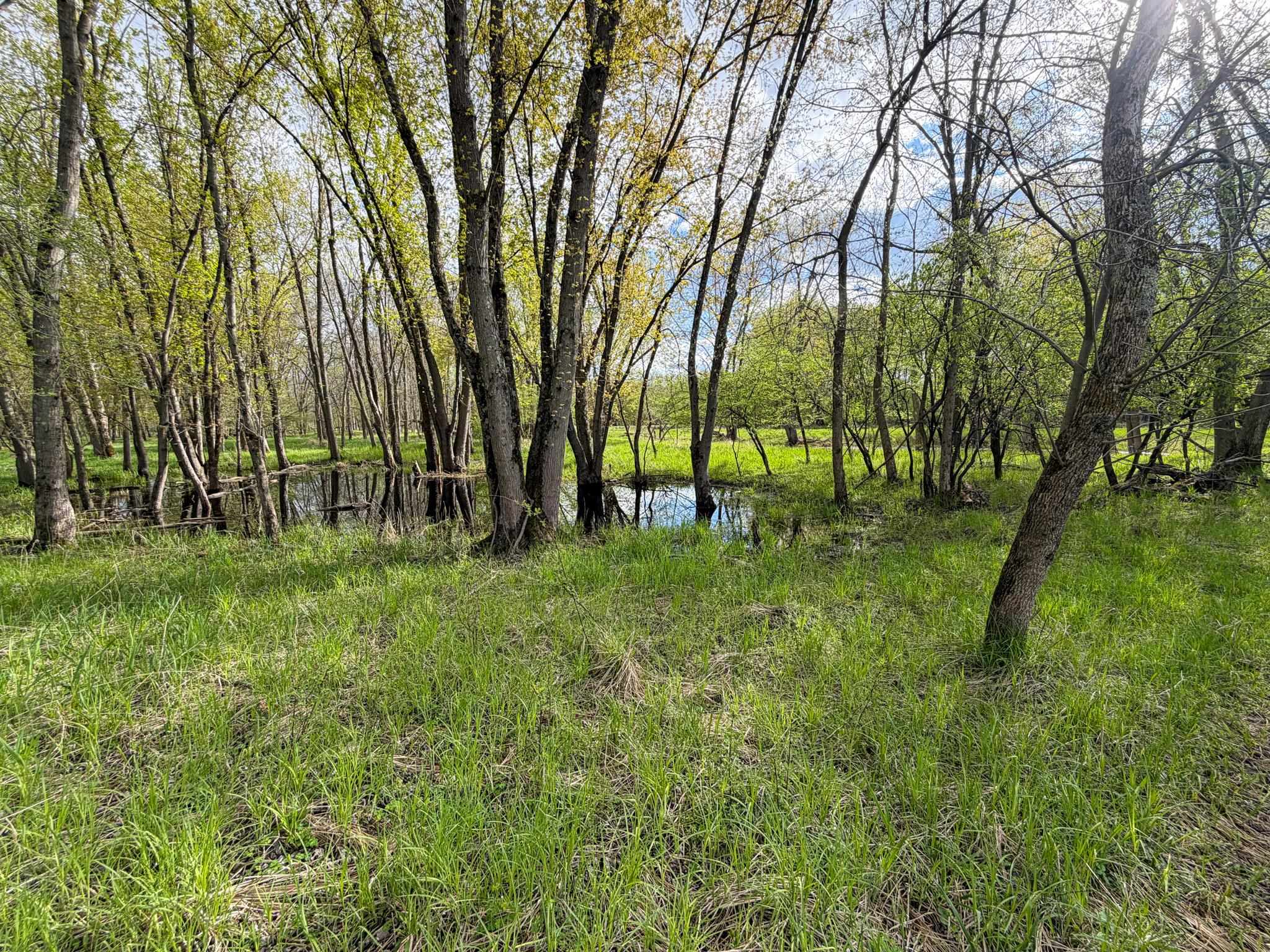 100.54-acres Katuin Road La Valle, WI 53941 - Photo 52 of 88