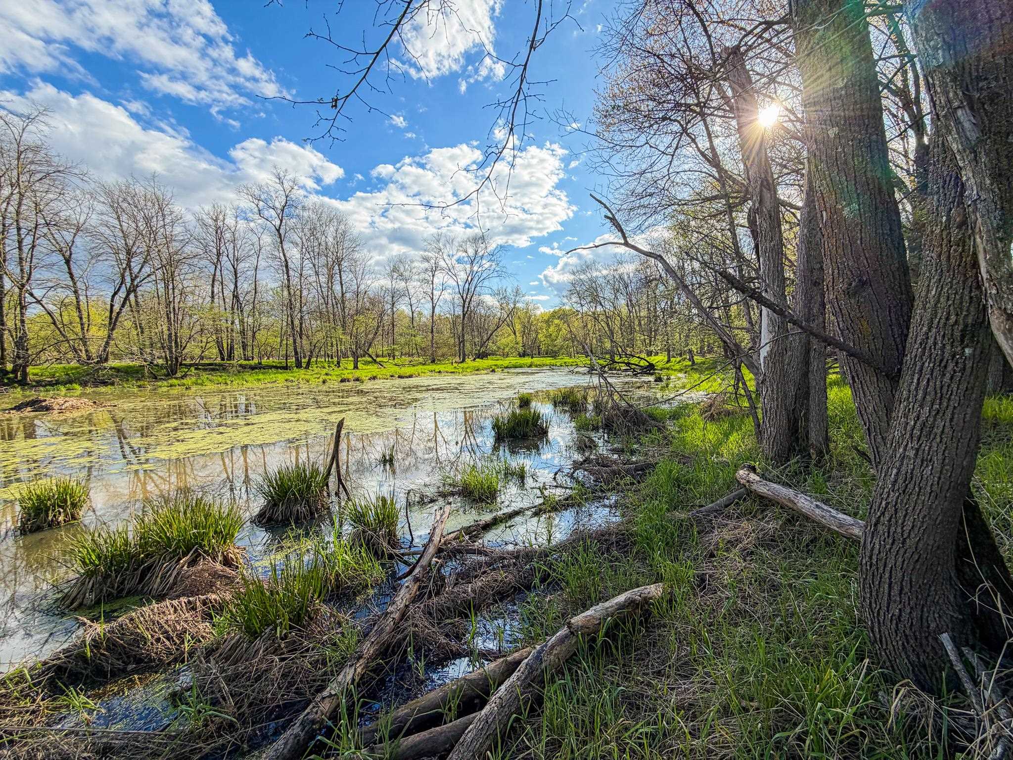 100.54-acres Katuin Road La Valle, WI 53941 - Photo 54 of 88