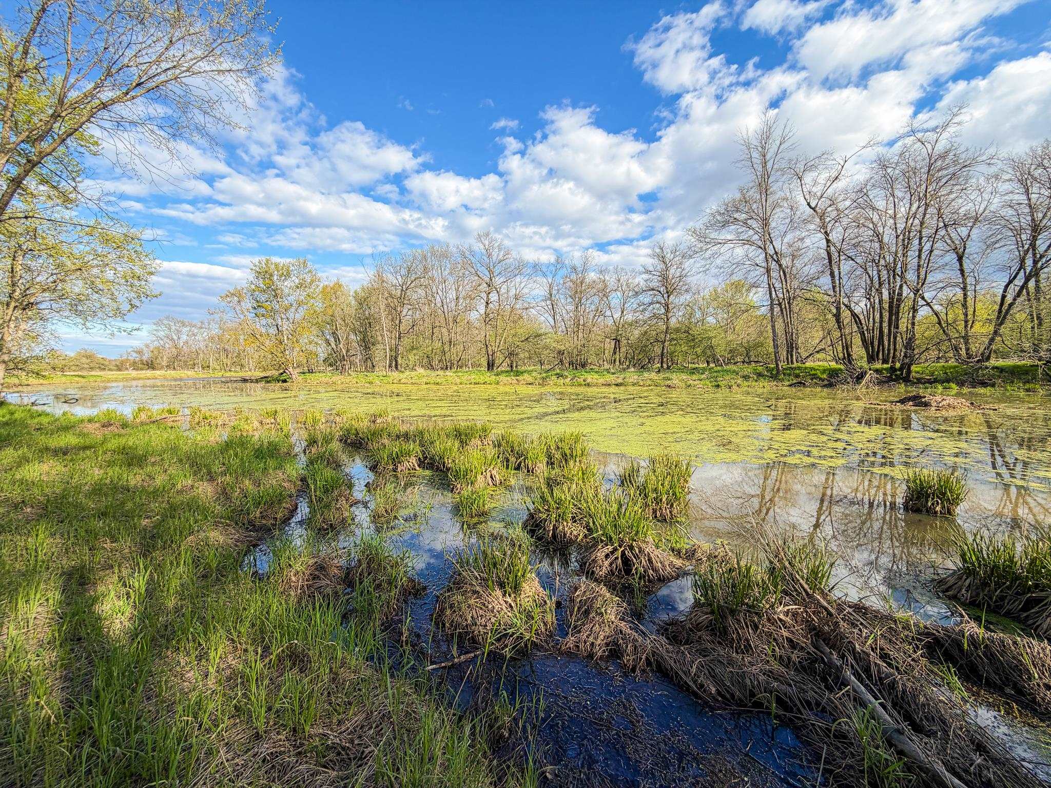 100.54-acres Katuin Road La Valle, WI 53941 - Photo 55 of 88
