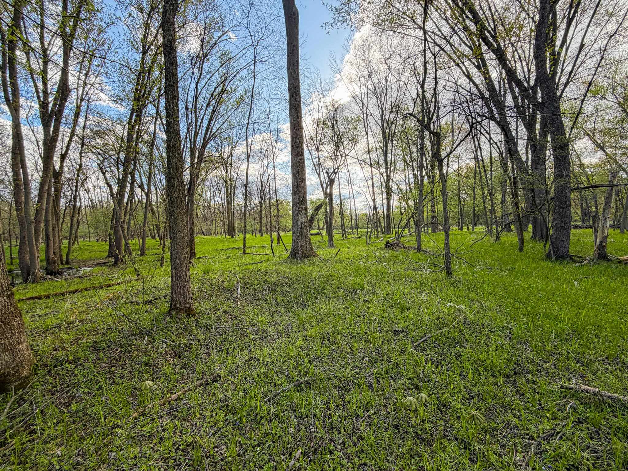 100.54-acres Katuin Road La Valle, WI 53941 - Photo 57 of 88
