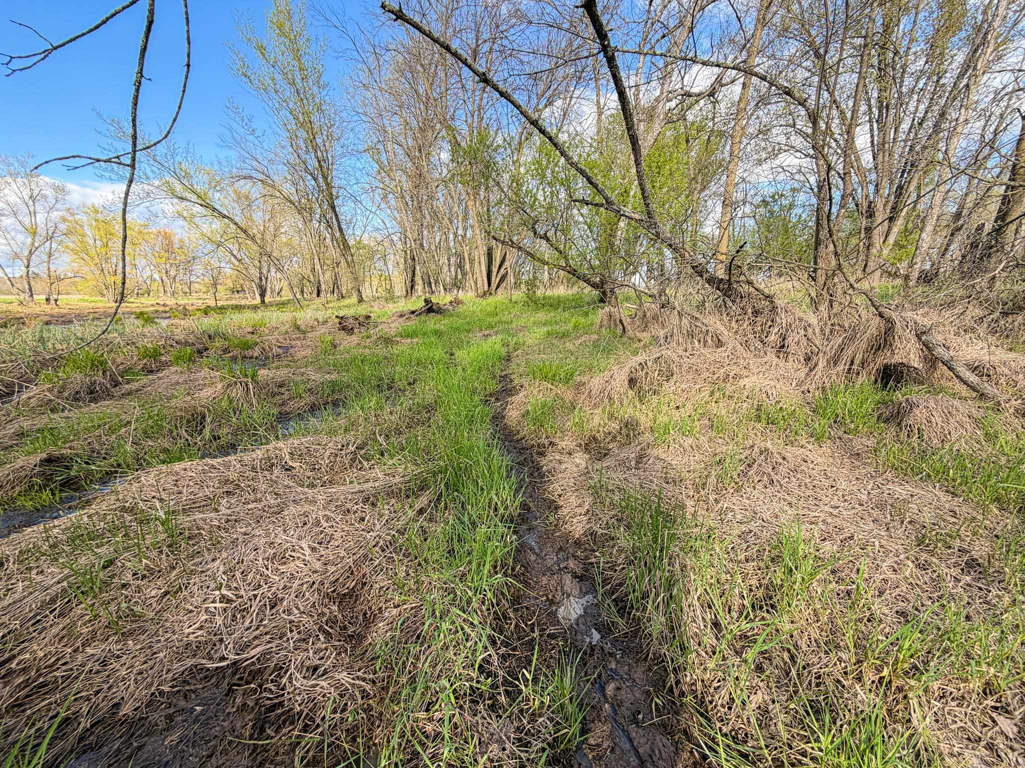 100.54-acres Katuin Road La Valle, WI 53941 - Photo 58 of 88
