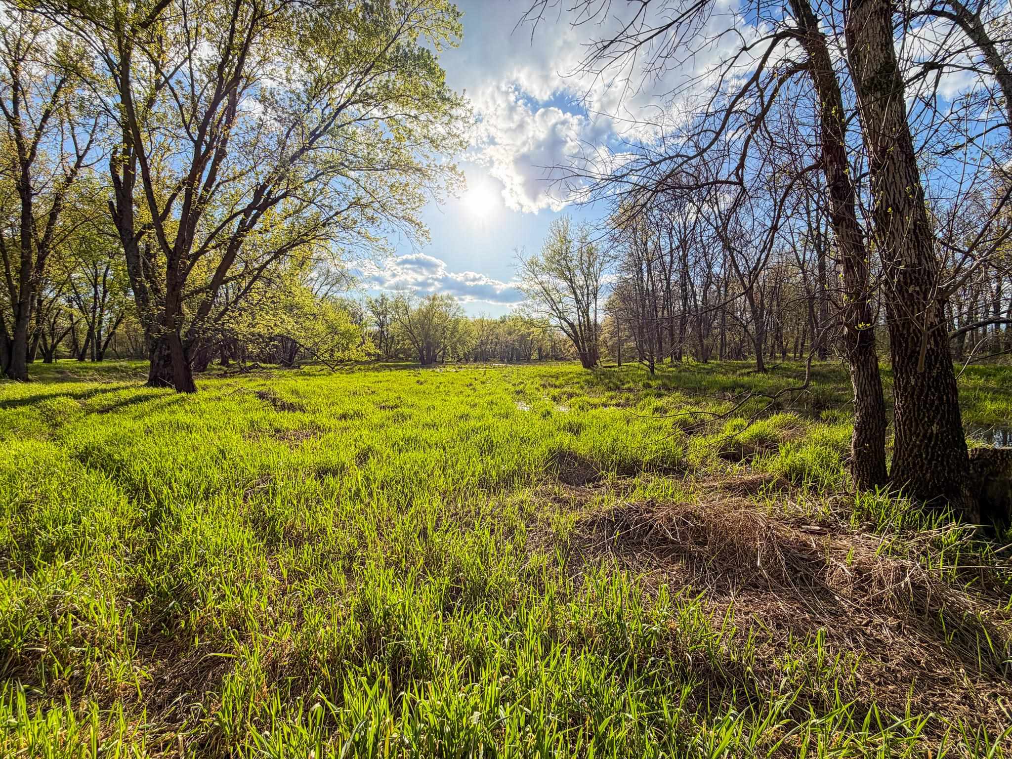 100.54-acres Katuin Road La Valle, WI 53941 - Photo 61 of 88