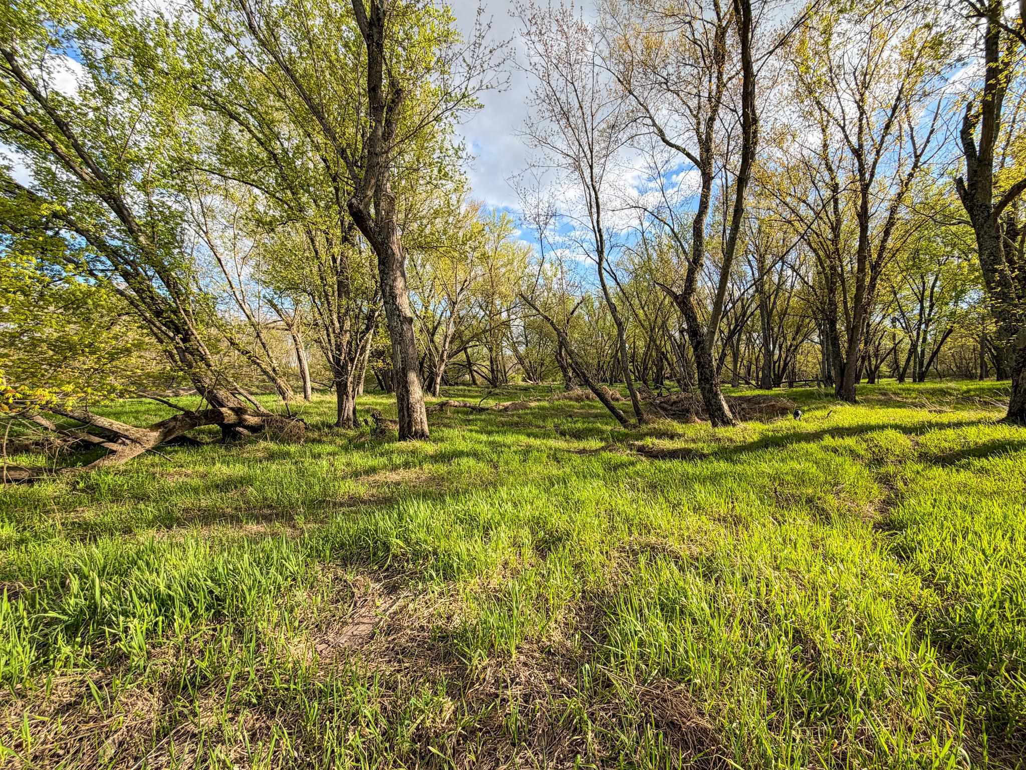 100.54-acres Katuin Road La Valle, WI 53941 - Photo 62 of 88