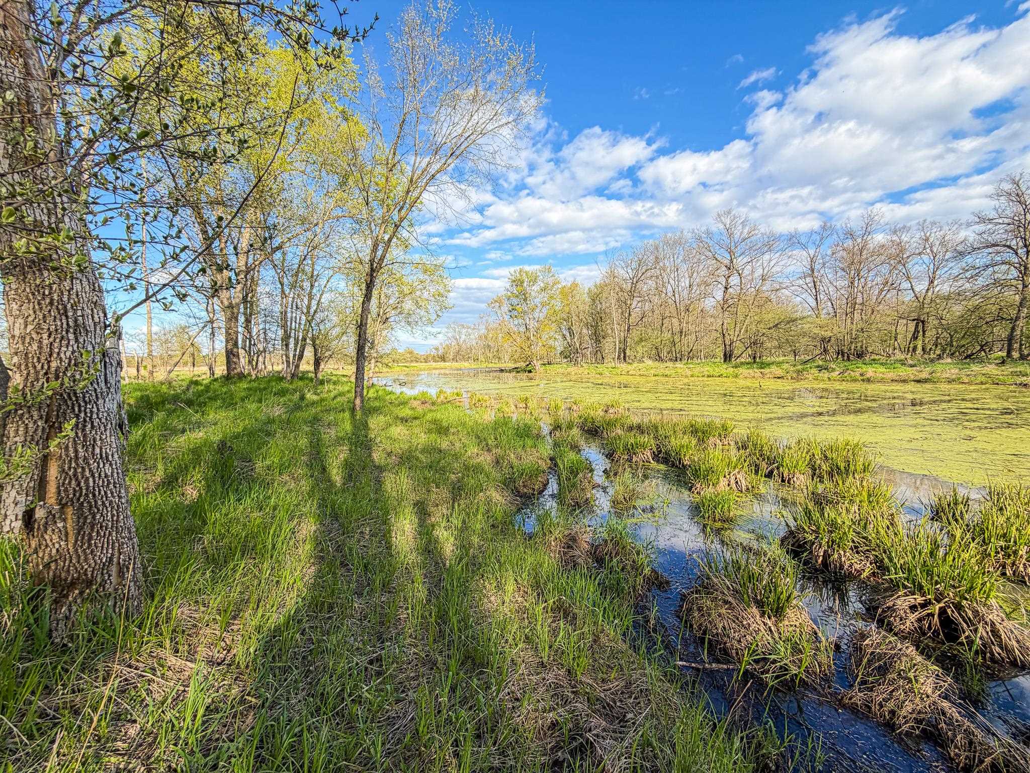 100.54-acres Katuin Road La Valle, WI 53941 - Photo 80 of 88