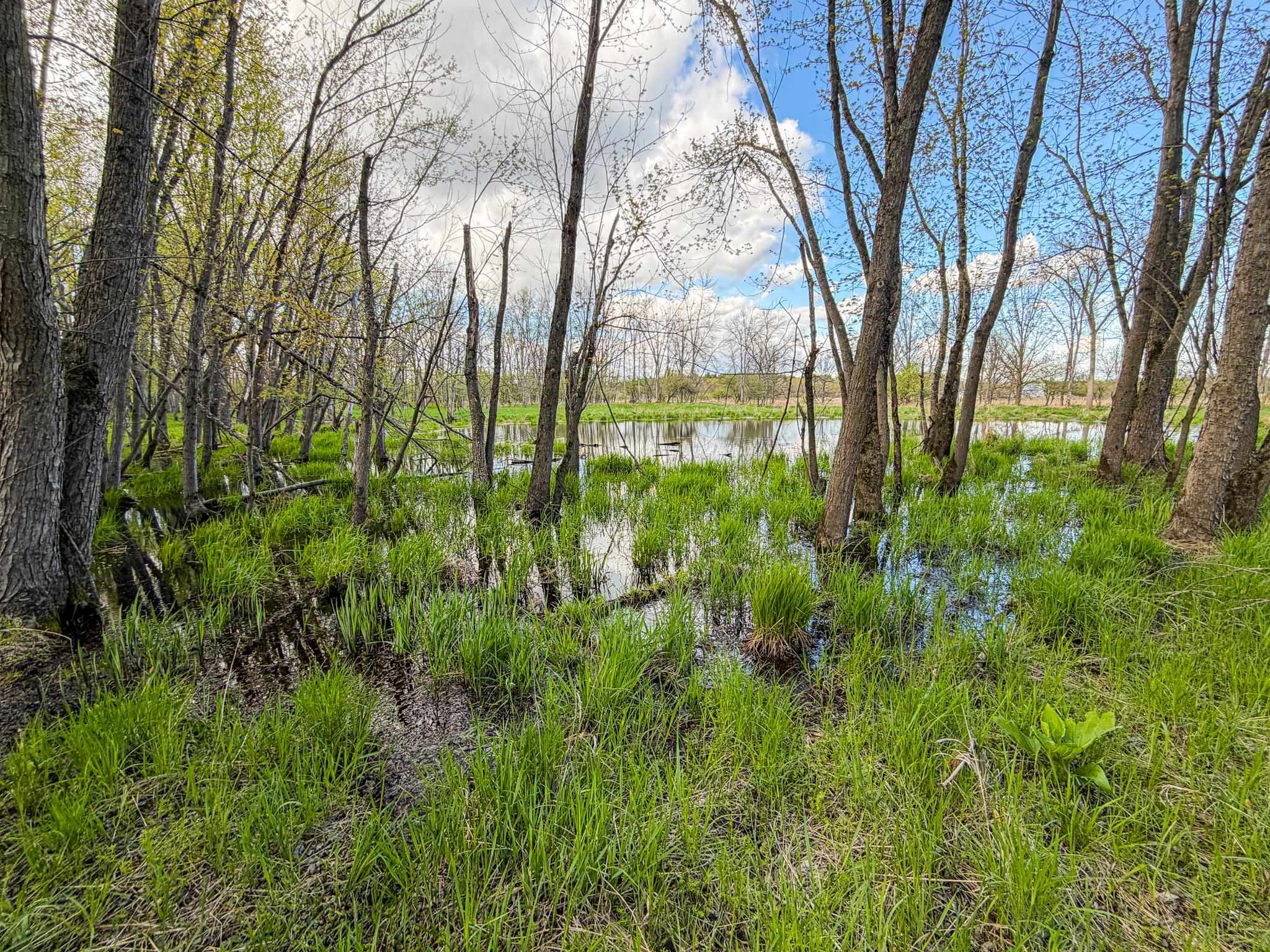 100.54-acres Katuin Road La Valle, WI 53941 - Photo 81 of 88