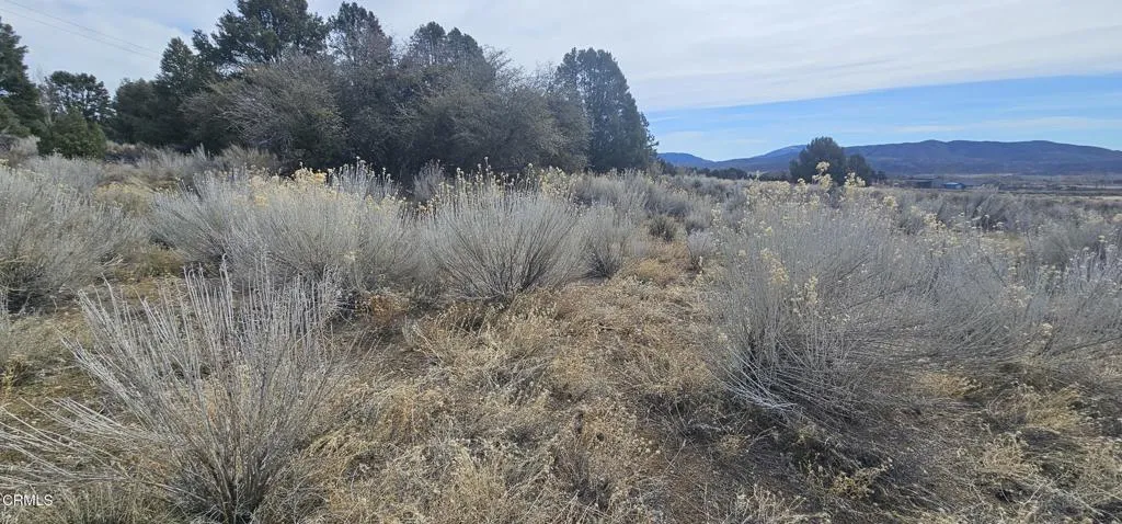 0 Boy Scout Camp Road Atlantic Mine, CA 49905 - Photo 11 of 16 a view of a dry yard